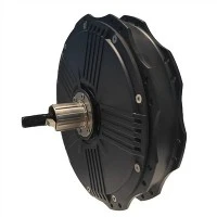 E-Bicycle Integrated Wheel Spoke BLDC Motor Outer Rotor 20inci